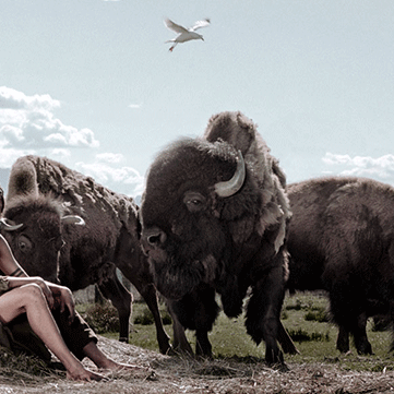Wild Orchard Children with live buffalo.